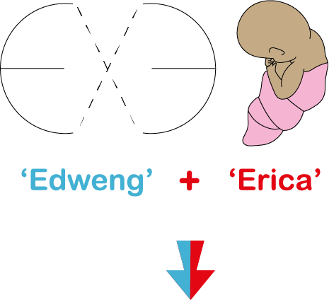 Slide 6