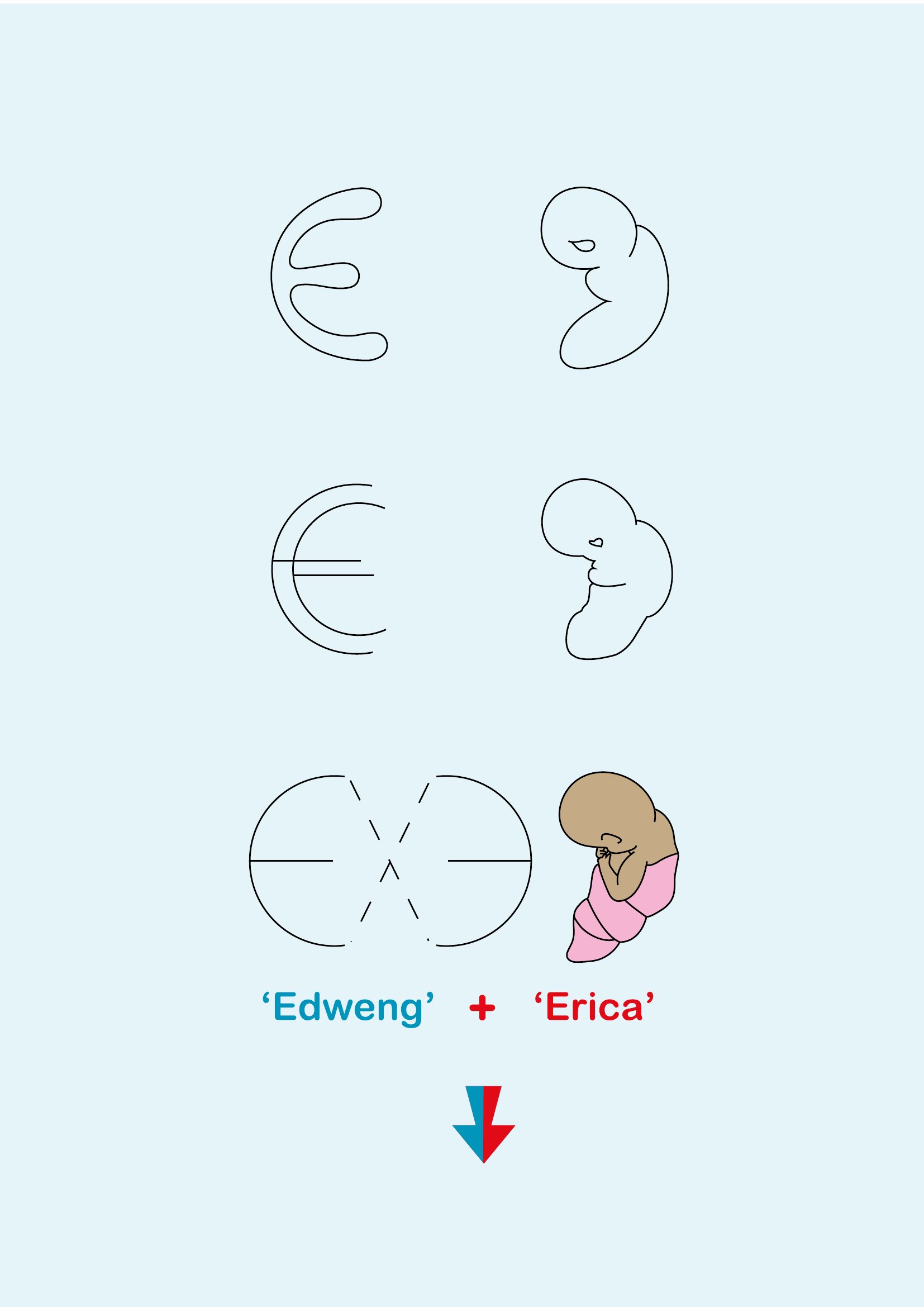 The way forward is yours